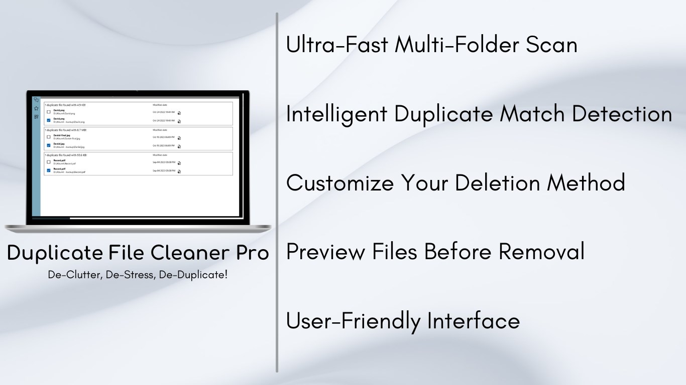 Duplicate File Cleaner Pro interface showing file scanning and duplicate detection